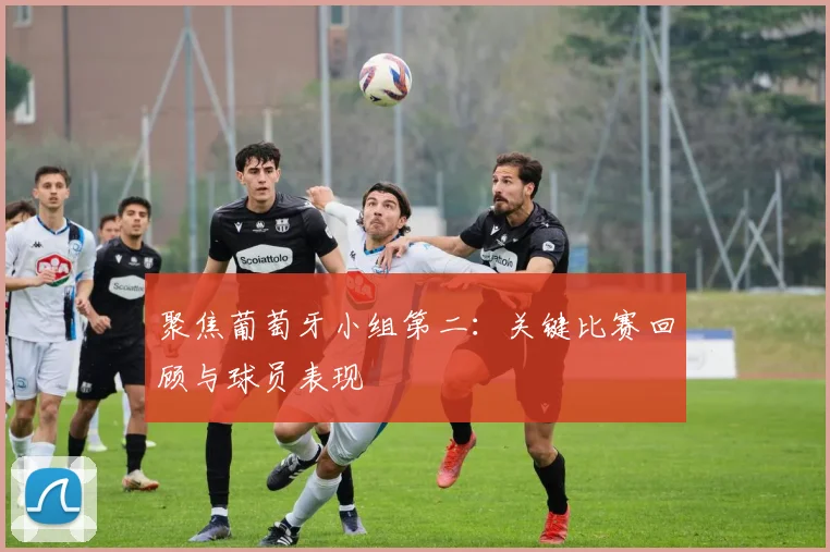 聚焦葡萄牙小组第二：关键比赛回顾与球员表现