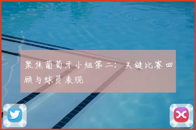 聚焦葡萄牙小组第二：关键比赛回顾与球员表现