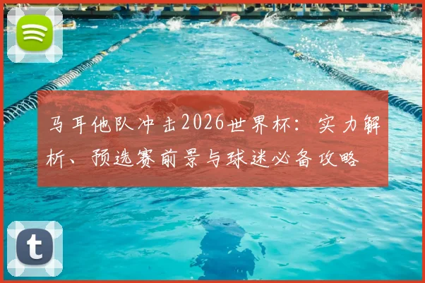 马耳他队冲击2026世界杯：实力解析、预选赛前景与球迷必备攻略
